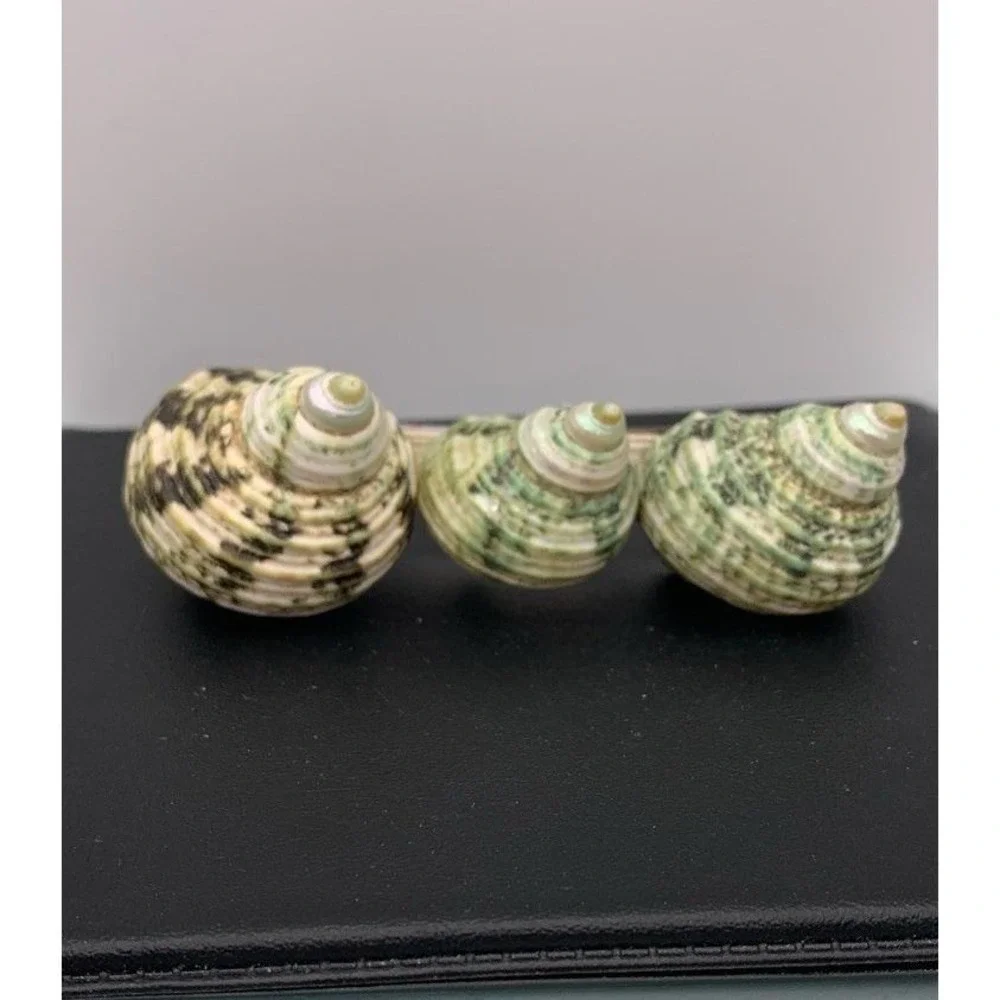 Vintage Chunky Green Speckled Turbo Sea Shell Hair Barrette / Clip Never Worn